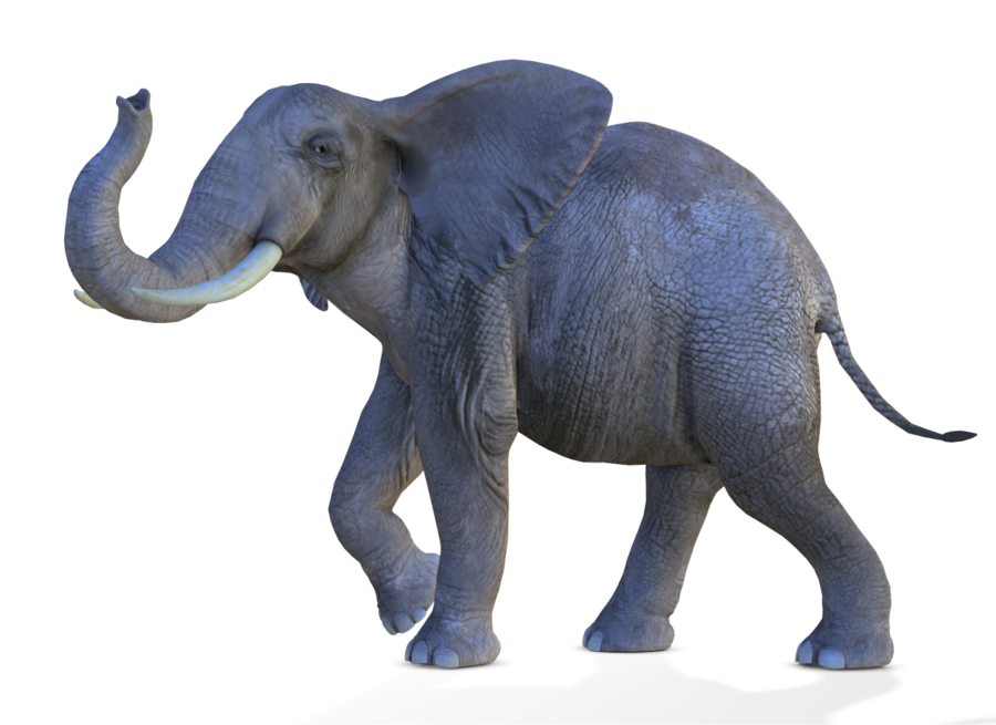 african-elephant-png-transparent-31